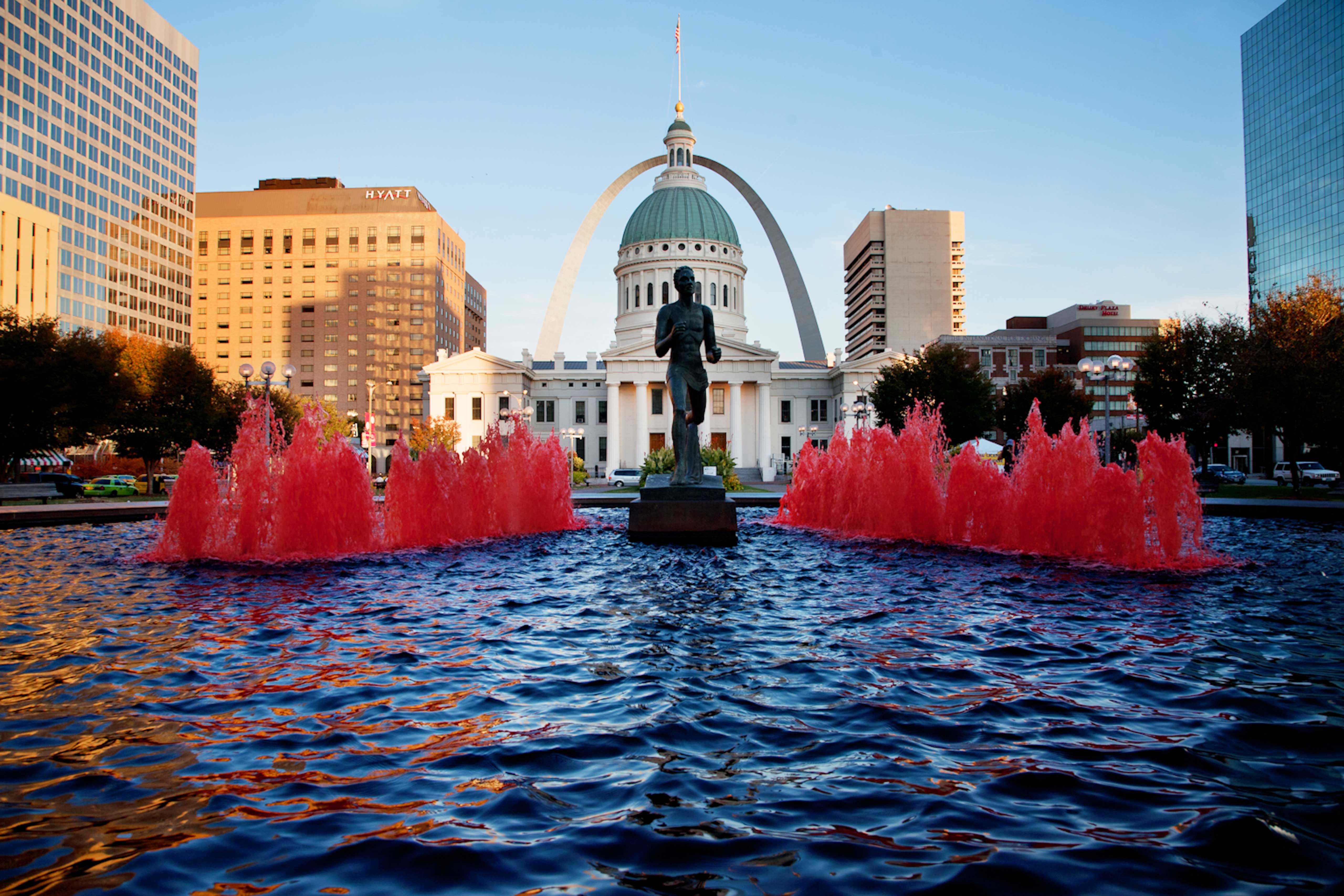 Award Winning St. Louis Docs